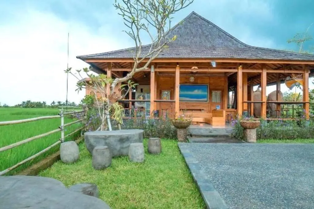 Apartment Studio With Kitchen, Surrounded By Ricefield By Ilys Collection Ubud