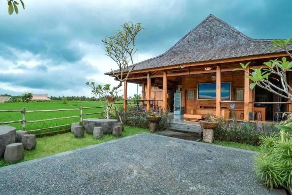 Studio With Kitchen, Surrounded By Ricefield By Ilys Collection Ubud  Indonesia