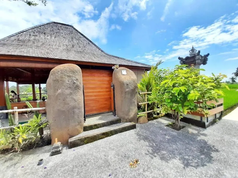 Studio With Kitchen, Surrounded By Ricefield By Ilys Collection Ubud  Apartment