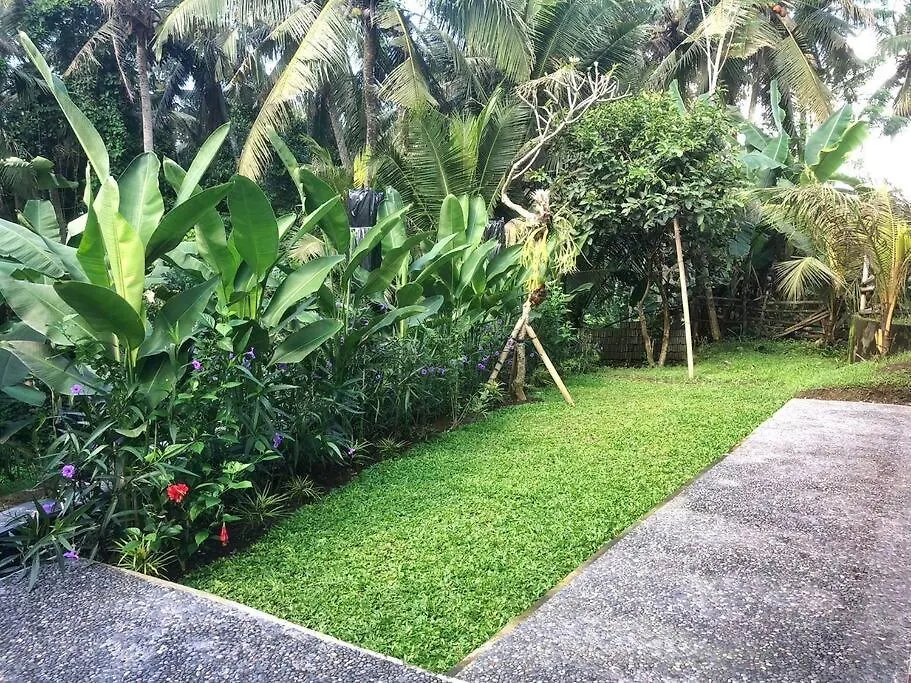 Studio With Kitchen, Surrounded By Ricefield By Ilys Collection Ubud