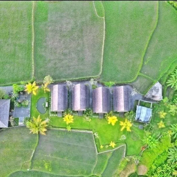 Studio With Kitchen, Surrounded By Ricefield By Ilys Collection Ubud