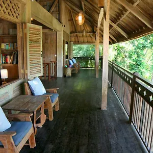 Artist Eco In Bali Ubud